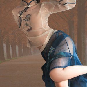 Sexy Lace Lingerie Sheer See-Through Lace Oriental Collar Cheongsam Lingerie